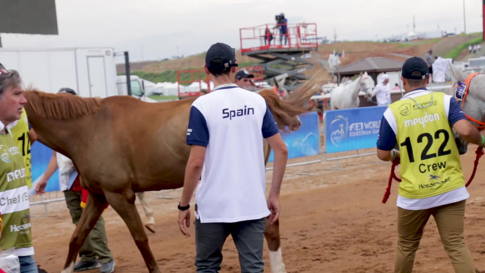 Endurance Pre-Ride Video Tryon